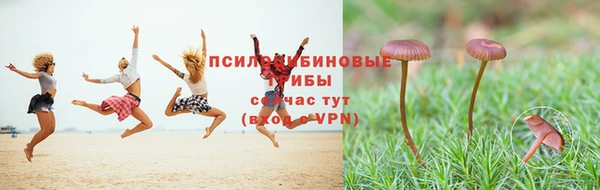 гашик Беломорск