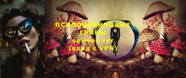спайс Богородицк
