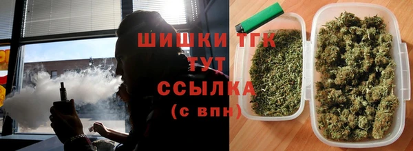 спайс Богородицк