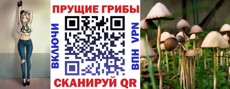Галлюциногенные грибы GOLDEN TEACHER  Горняк 